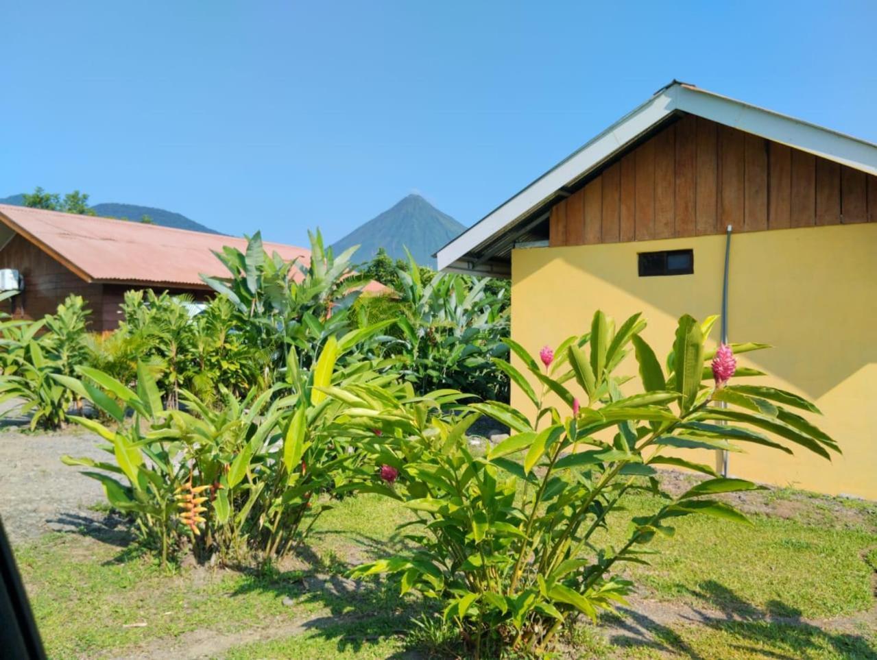 Cabana Rural Pura Vida Ла Фортуна Экстерьер фото